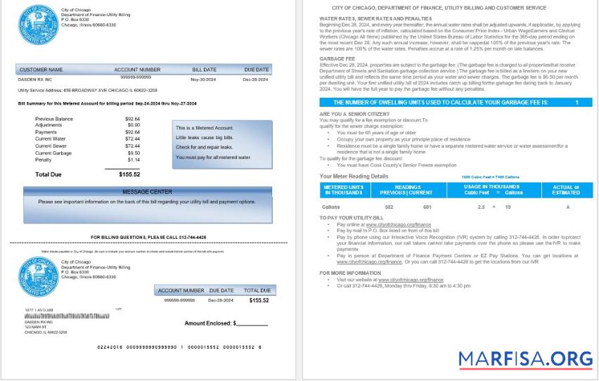 Printable USA CITY OF CHICAGO business utility bill Word and PDF template